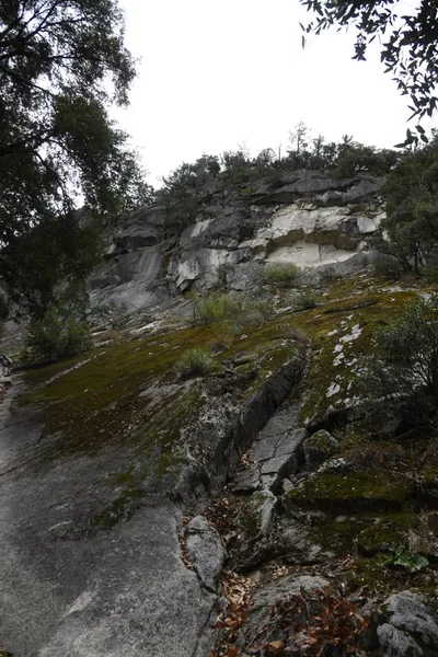 DSC_4682 (Large).JPG